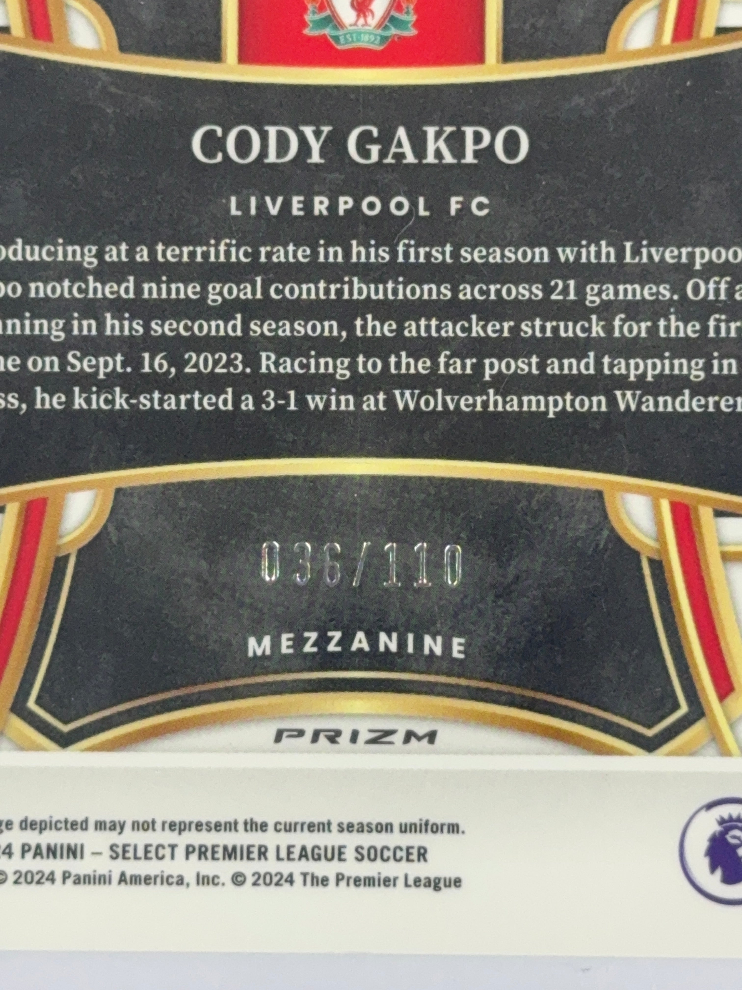 CODY GAKPO Panini Select Premiere League Mezzanine Camo num 36/110